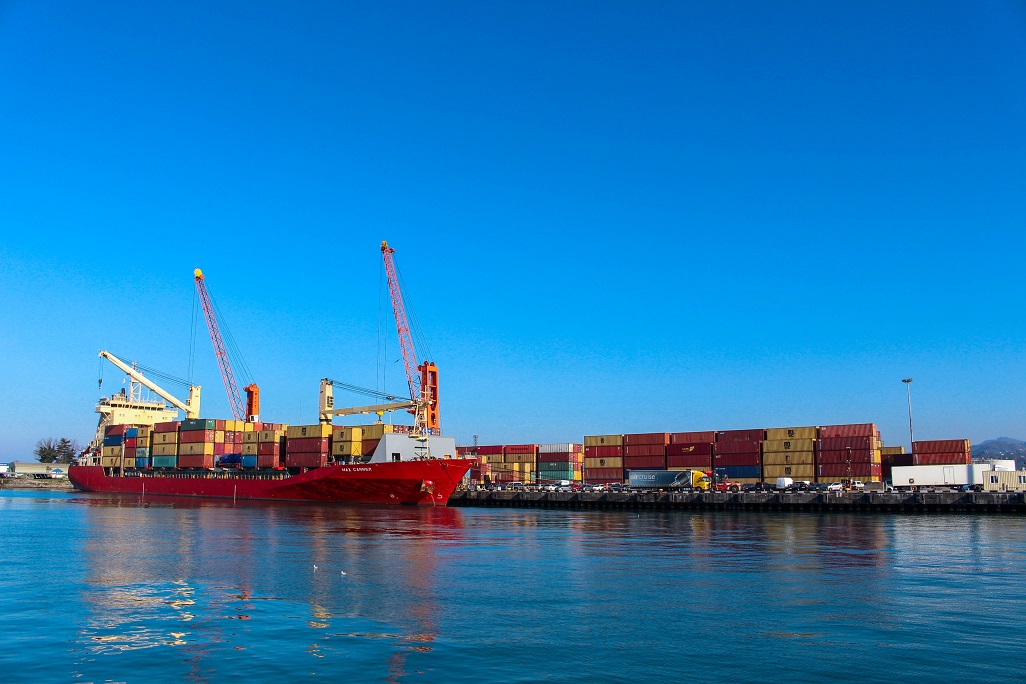 MSC launches new feeder service in ICTSI Georgia unit - small